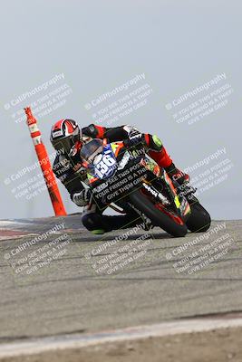 media/Feb-21-2025-Lets Ride (Fri) [[f483f33afd]]/Race Group/11am (Outside Grapevine)/